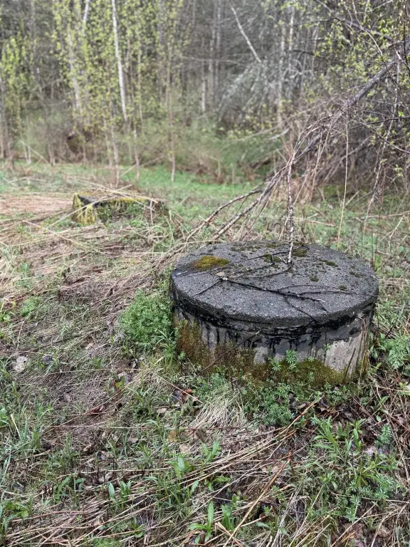 Picture 23