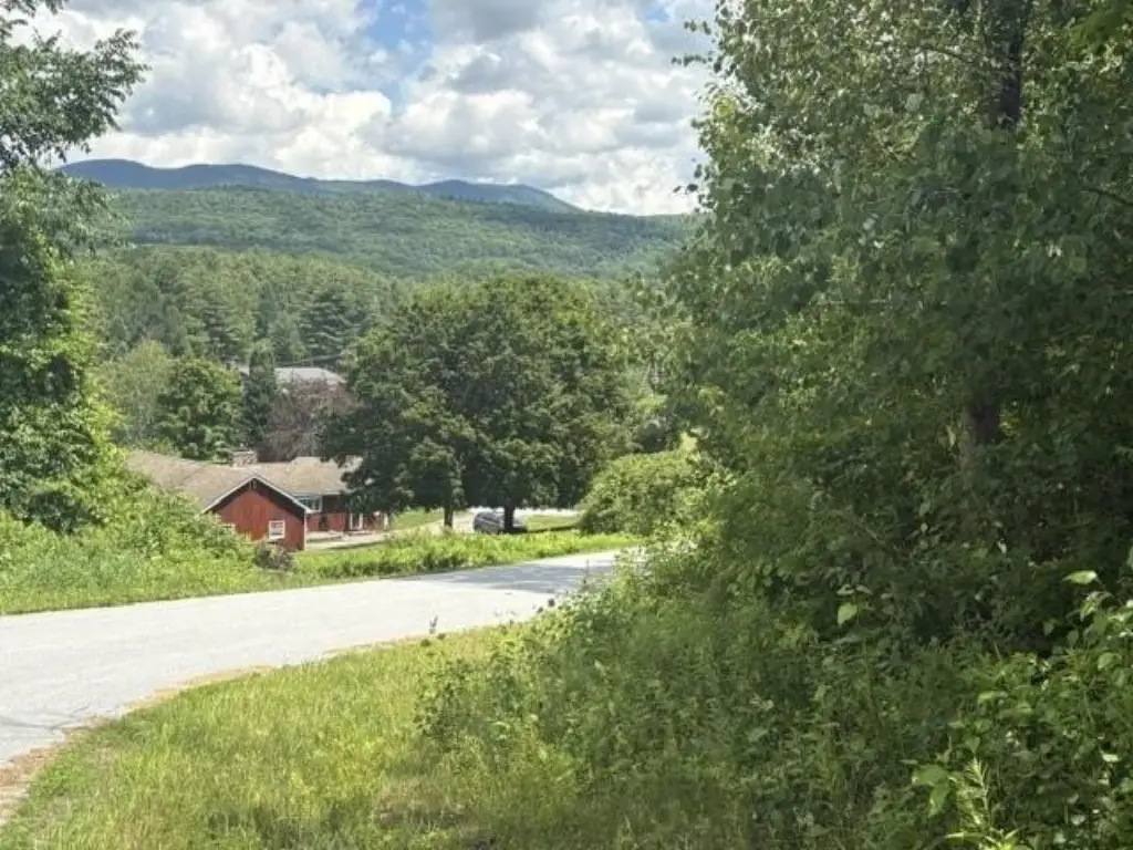 Picture 7