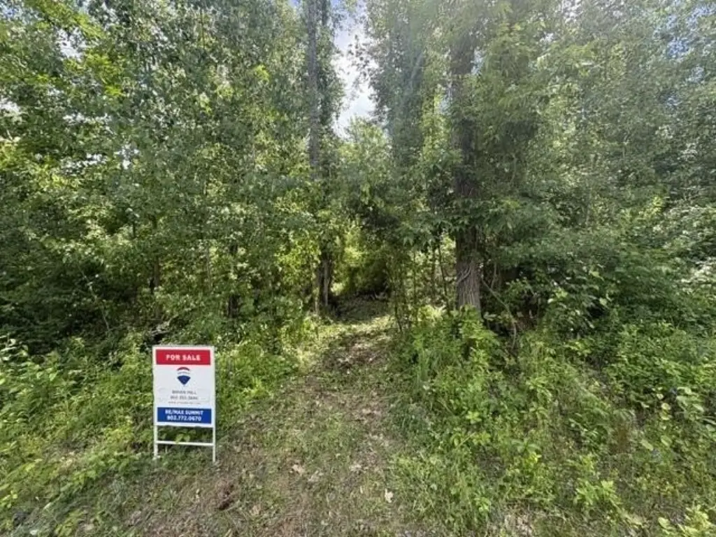Picture 6
