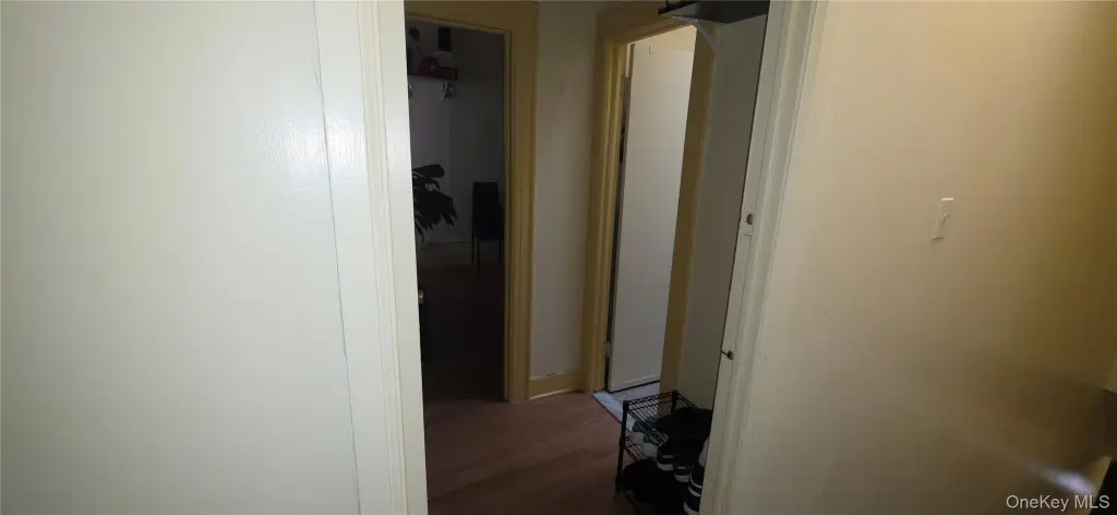 Picture 24