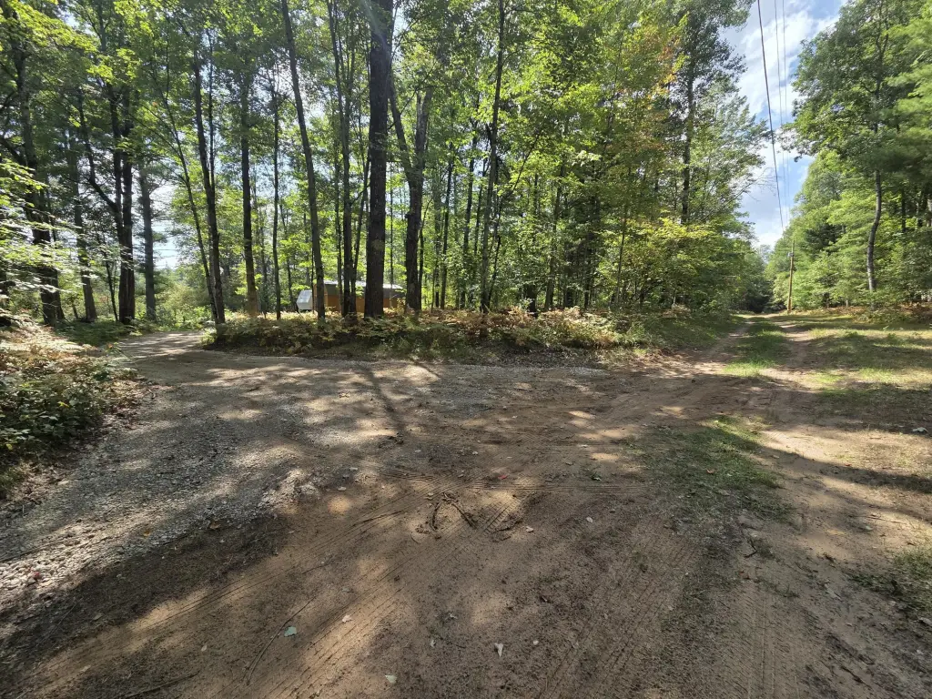 Picture 21