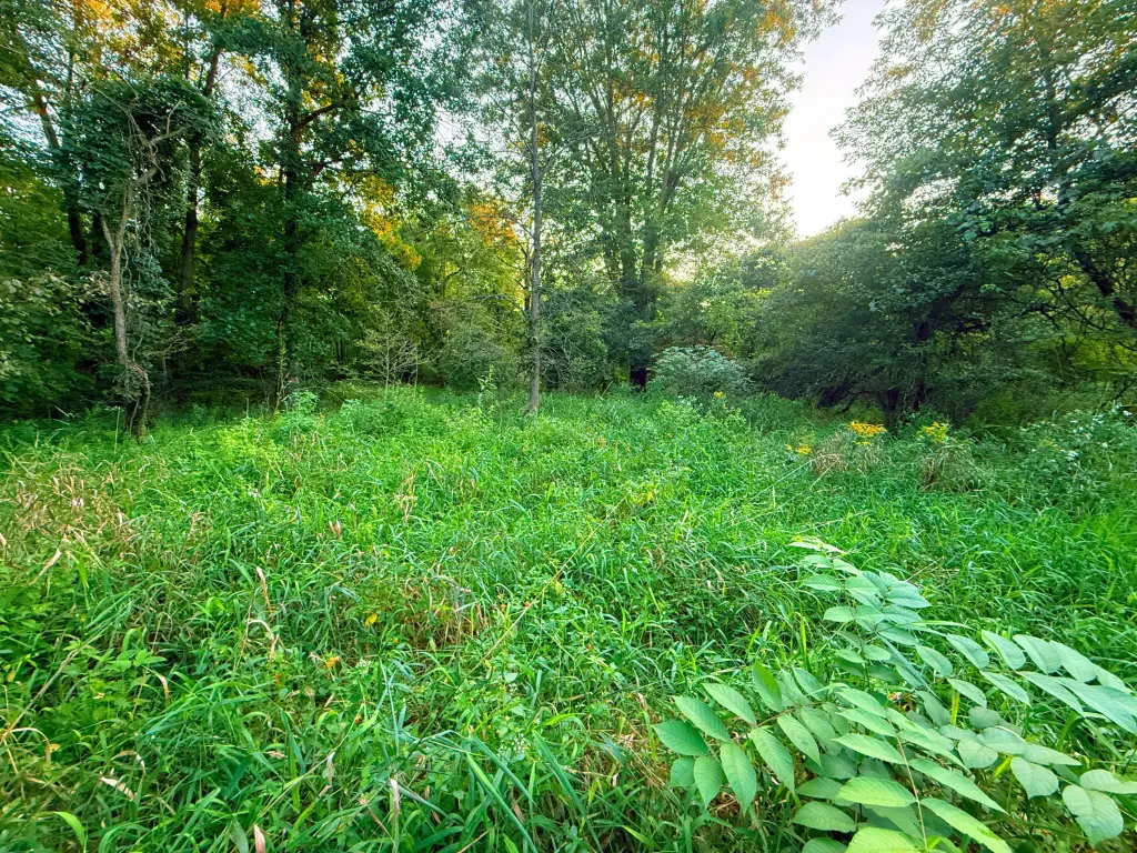 Picture 7