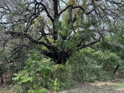 Residential Land Near Lake Whitney