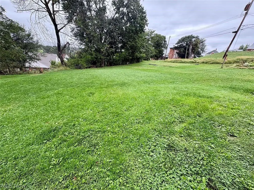 Picture 21