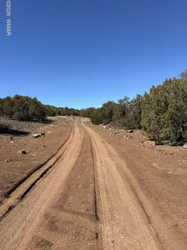Land in Concho, Arizona