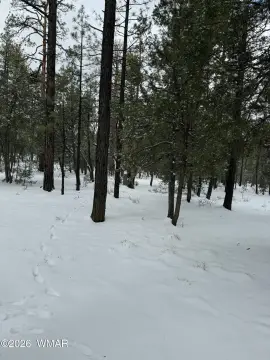 Lakeside, AZ Land Parcel