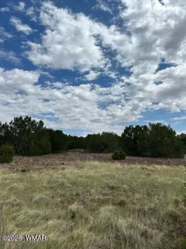8 Acres in Vernon, Arizona