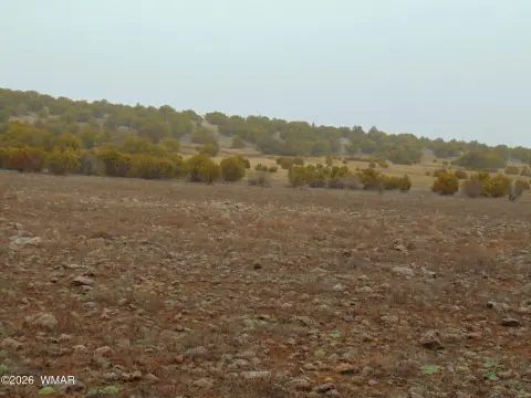 Land in Concho, Arizona