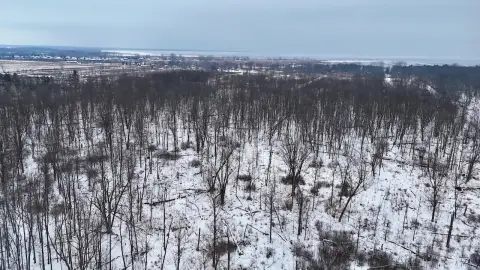 Expansive 120-Acre Recreational Land