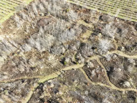 Land Near Lake Michigan Lakeshore