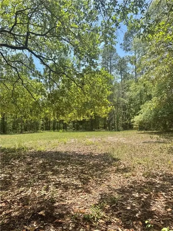 Picture 3