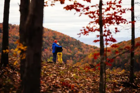 Pasture and Trees in Soddy Daisy