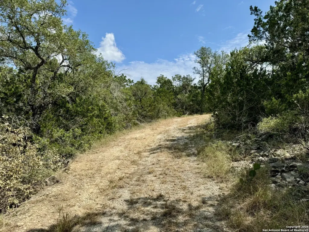 Picture 29