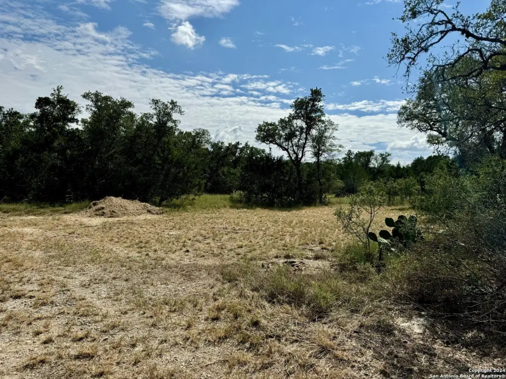 Picture 30