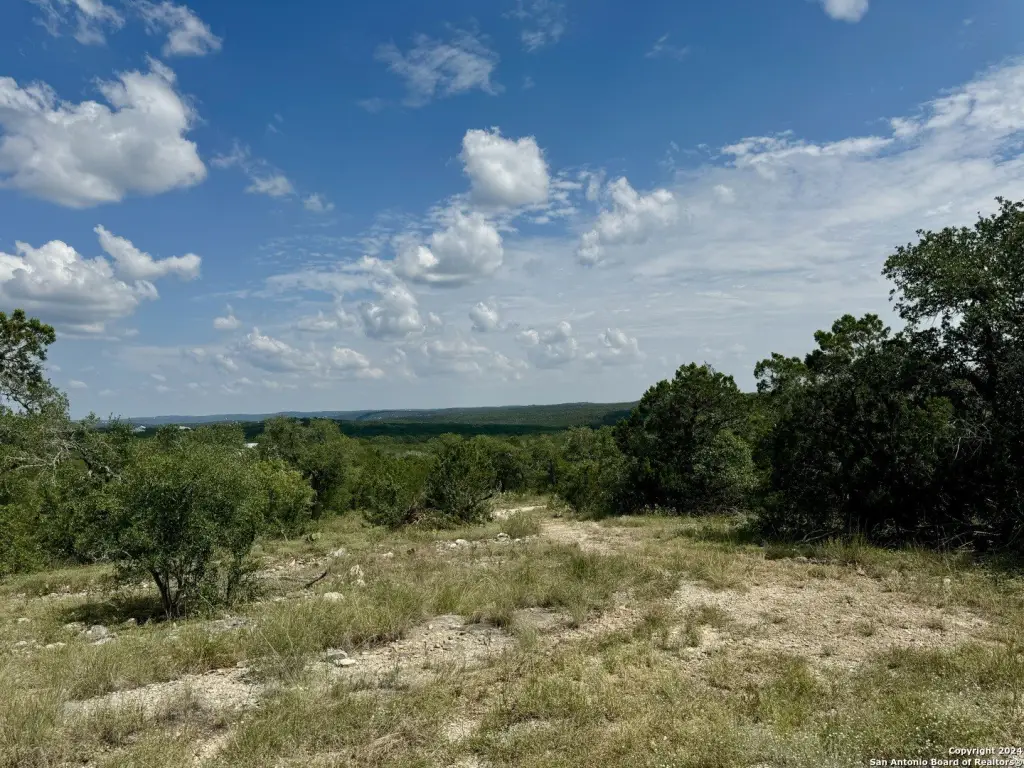 Picture 26