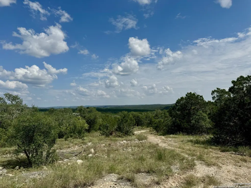 Picture 27