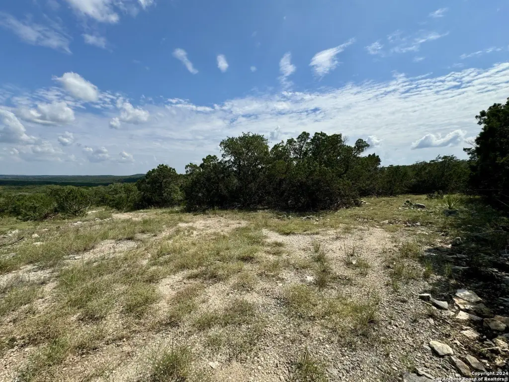 Picture 25