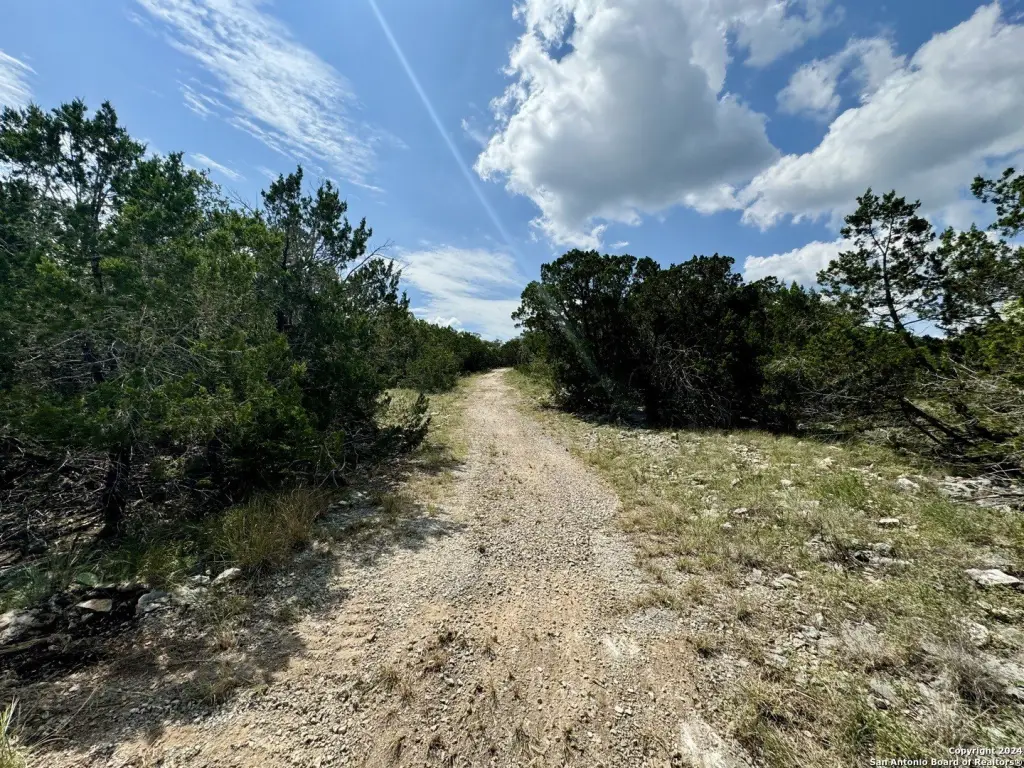 Picture 15