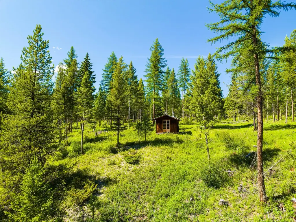 Picture 18
