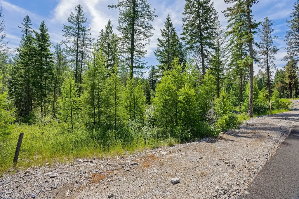 Picture 3
