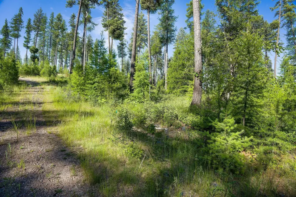 Picture 9