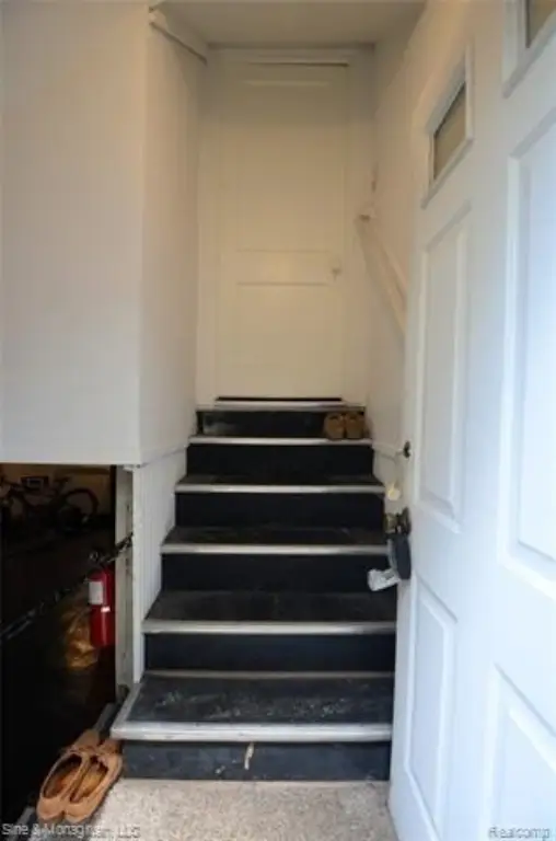 Picture 45