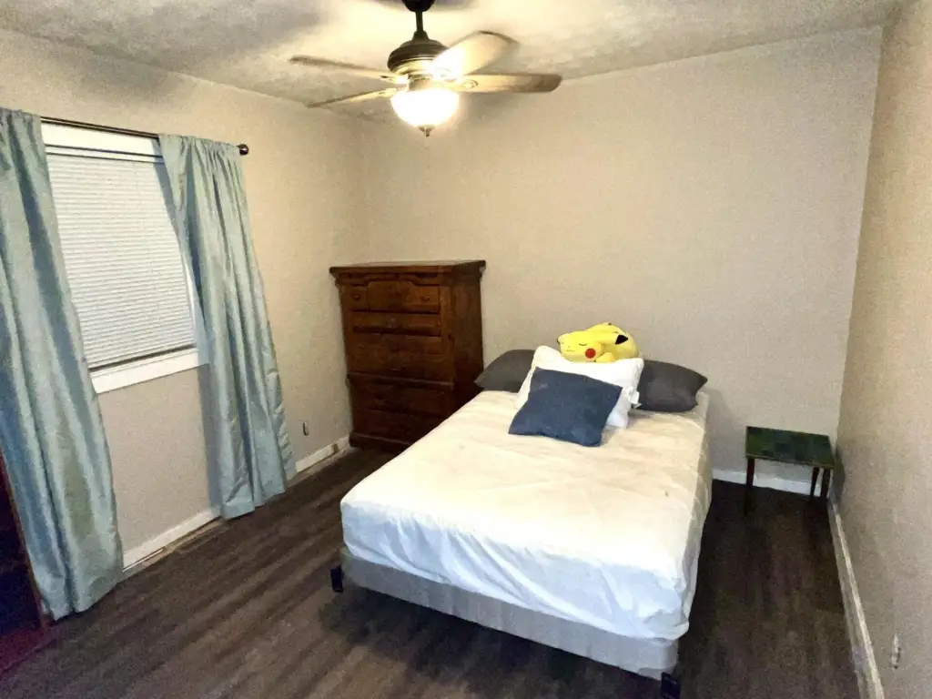 Picture 8