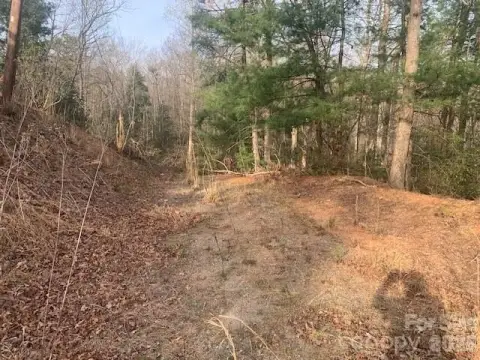 Commercial Land with Creek Frontage