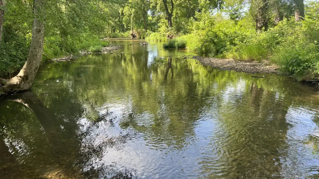Picture 13