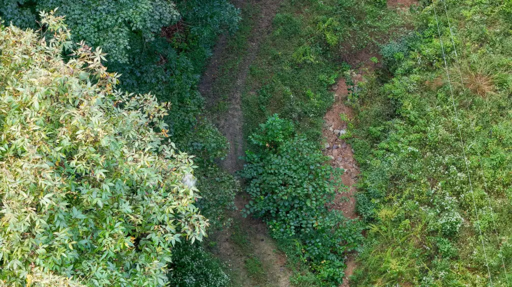 Picture 26