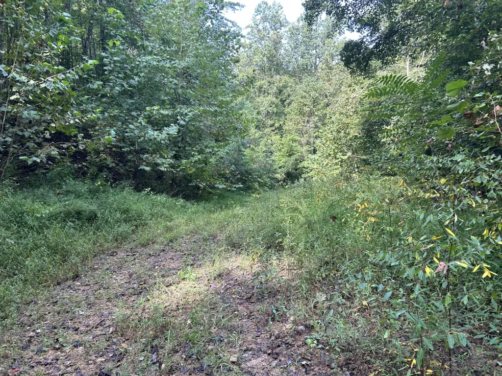 Picture 3