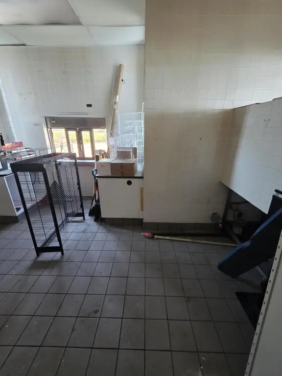 Picture 14