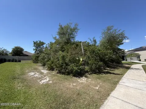 Vacant Lot in Orange City