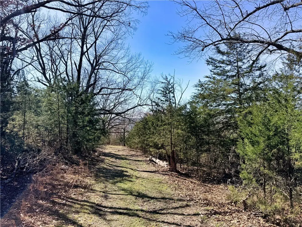 Picture 14