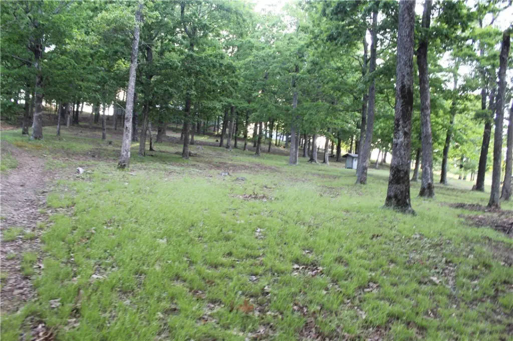 Picture 48