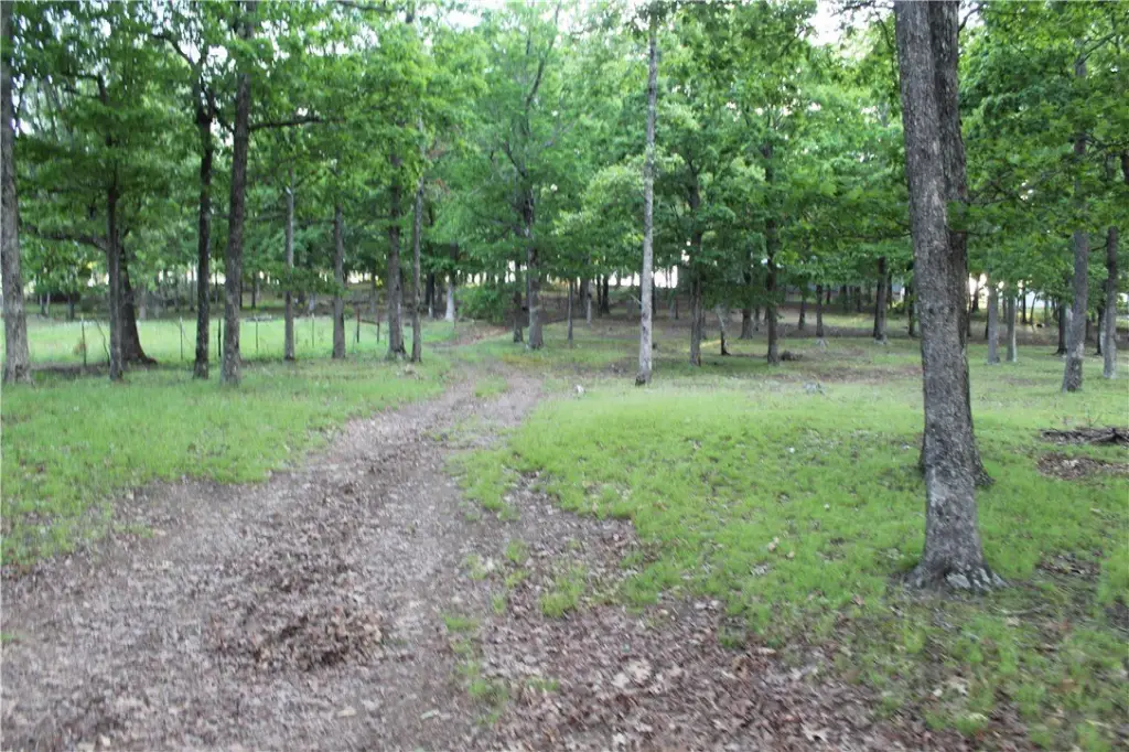 Picture 47