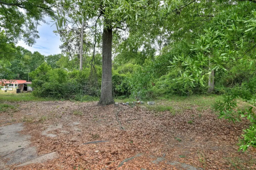 Picture 25