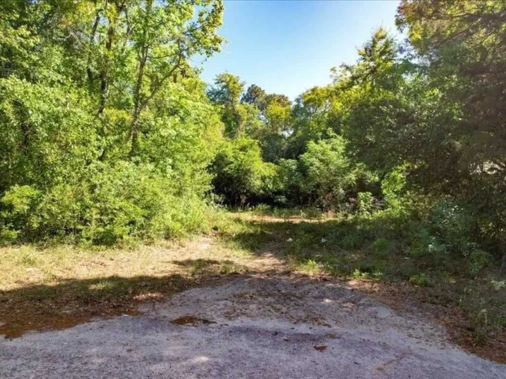 Picture 9