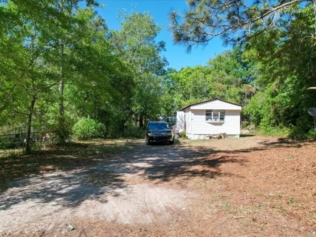 Picture 10