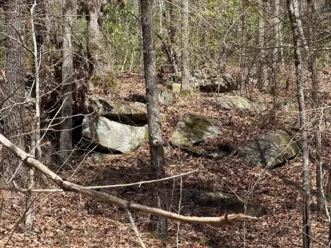 Unrestricted Land Near Lake Appalachia
