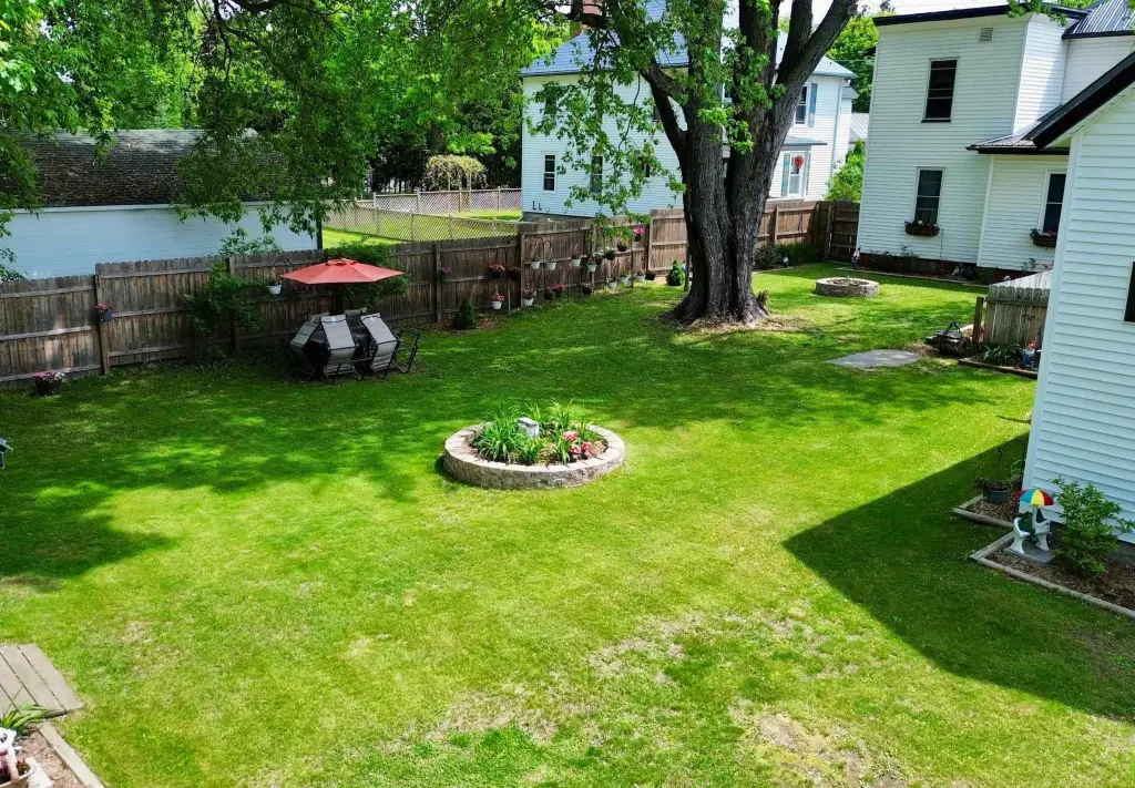 Picture 5