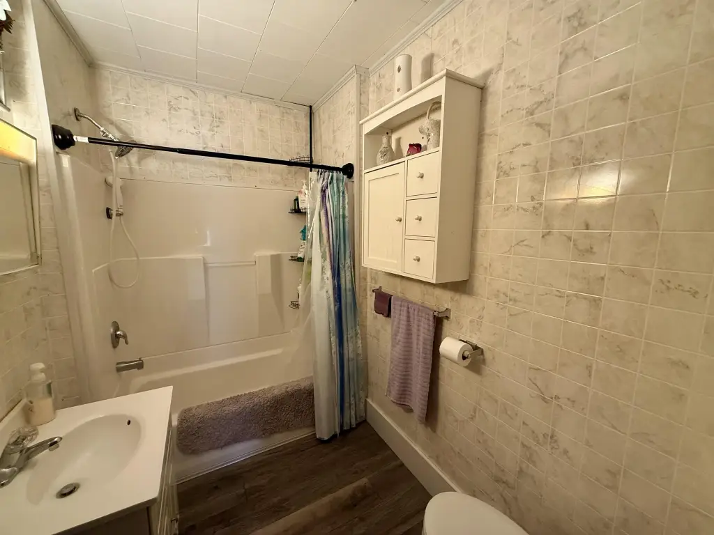 Picture 41