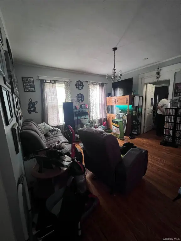 Picture 11