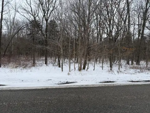 Undeveloped Land Parcel, Coldwater, MI