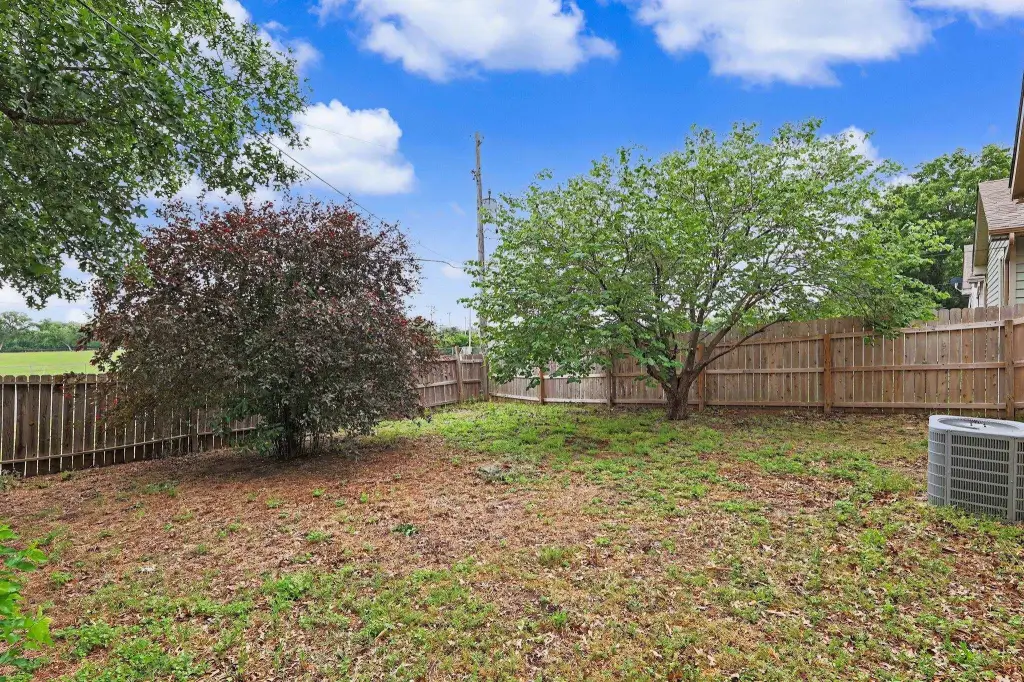 Picture 23