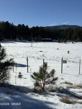 Alpine, Arizona Homesite Opportunity