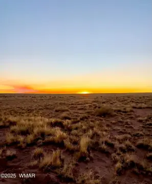 Land with Desert Views