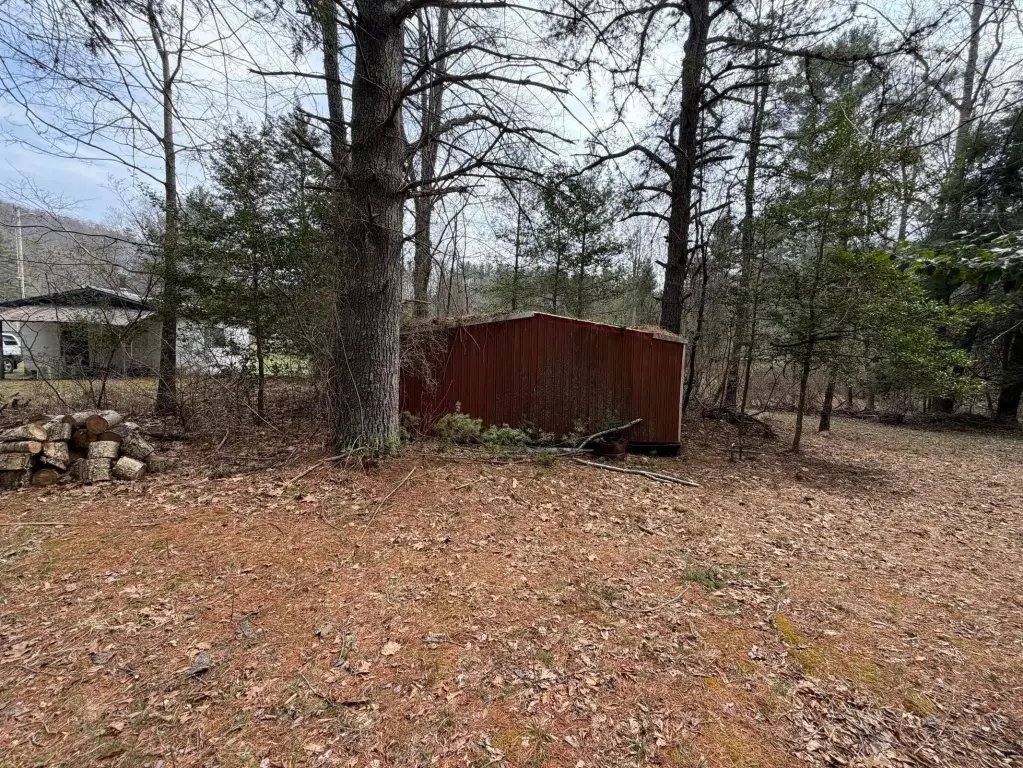 Picture 16