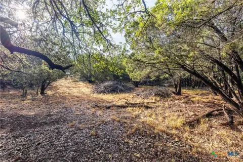 Lago Vista Build-Ready Land