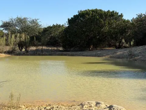 Del Rio Acreage with Wildlife
